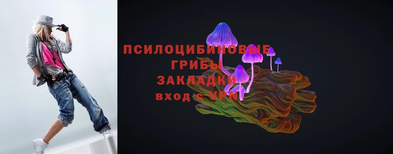 Псилоцибиновые грибы Cubensis  Рошаль 